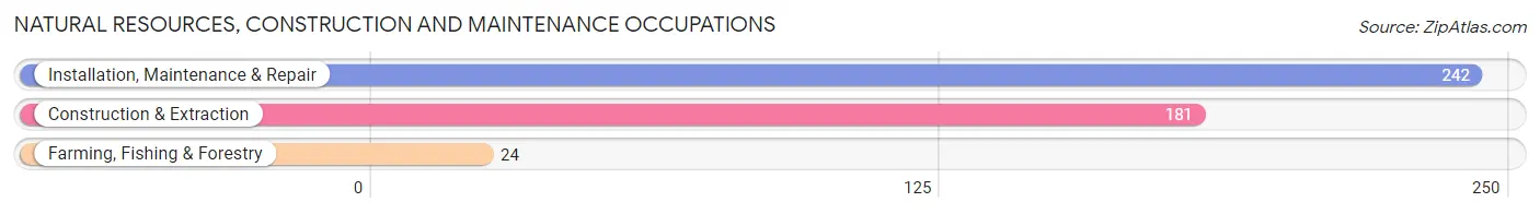 Natural Resources, Construction and Maintenance Occupations in Howard County