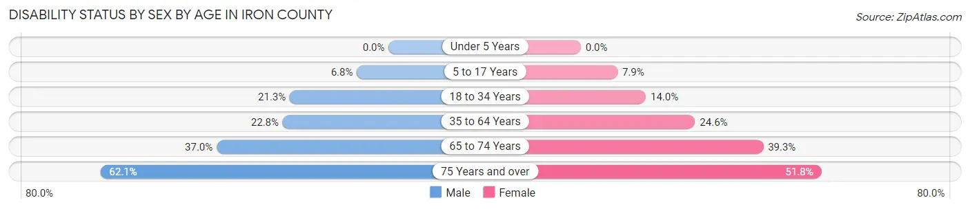 Disability Status by Sex by Age in Iron County