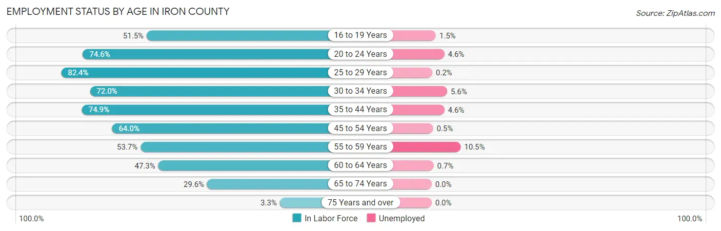 Employment Status by Age in Iron County