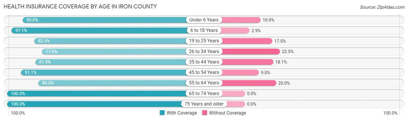 Health Insurance Coverage by Age in Iron County