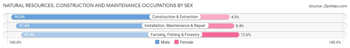 Natural Resources, Construction and Maintenance Occupations by Sex in Jackson County