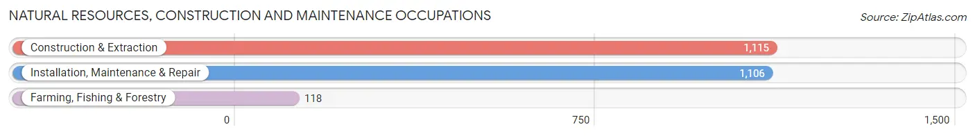 Natural Resources, Construction and Maintenance Occupations in Johnson County