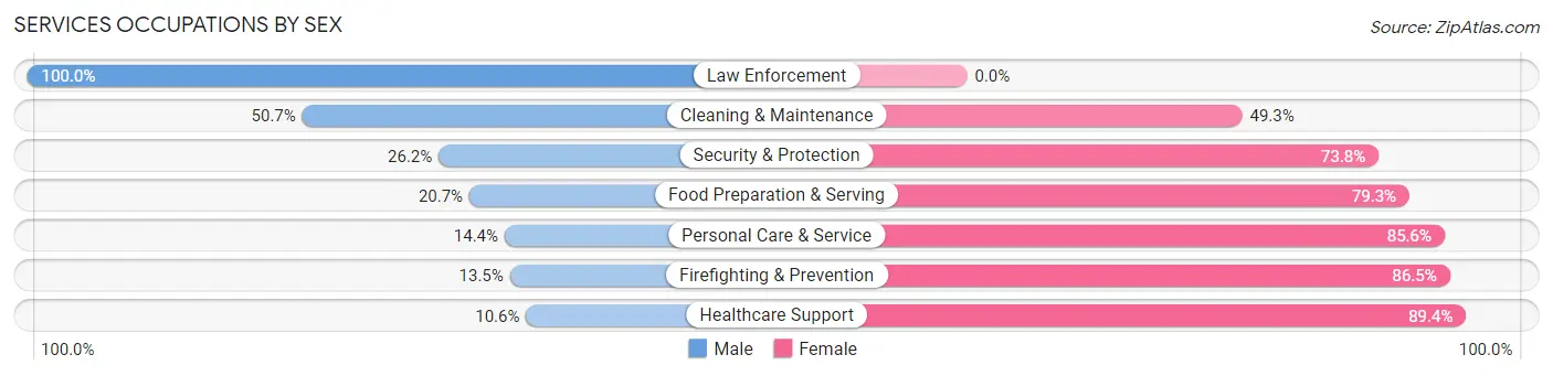 Services Occupations by Sex in Lewis County