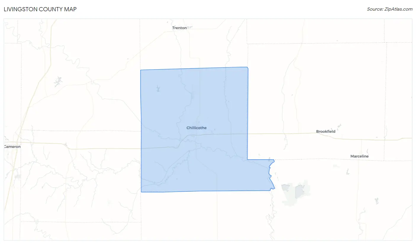 Livingston County Map