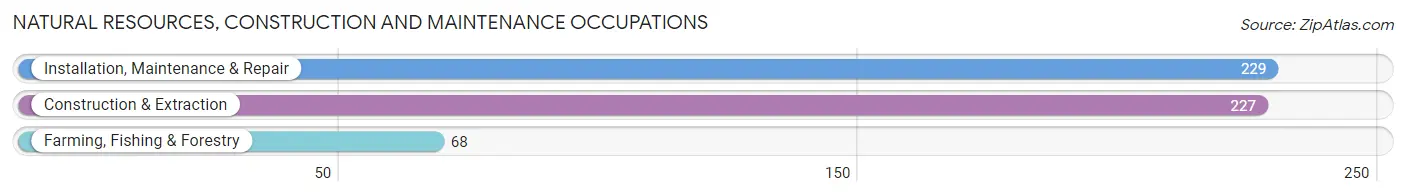 Natural Resources, Construction and Maintenance Occupations in Livingston County