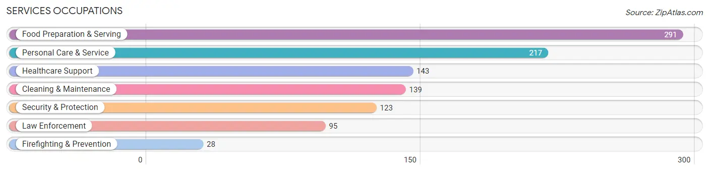 Services Occupations in Macon County