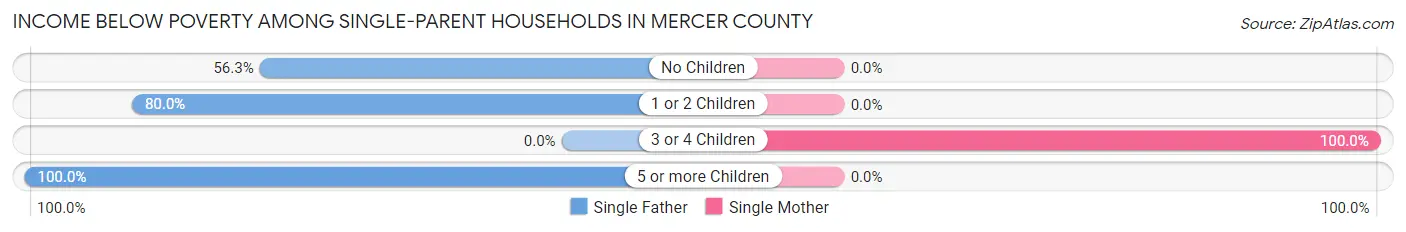 Income Below Poverty Among Single-Parent Households in Mercer County