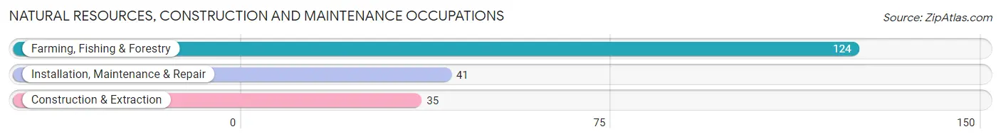 Natural Resources, Construction and Maintenance Occupations in Mercer County