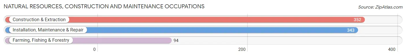 Natural Resources, Construction and Maintenance Occupations in Montgomery County