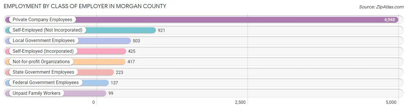 Employment by Class of Employer in Morgan County