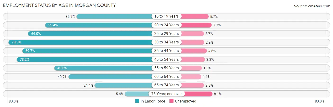 Employment Status by Age in Morgan County