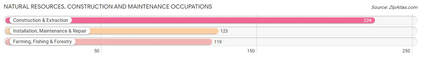 Natural Resources, Construction and Maintenance Occupations in Ozark County