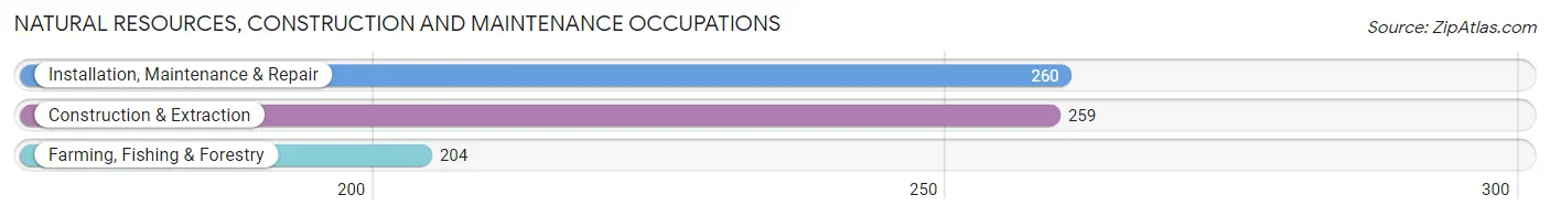 Natural Resources, Construction and Maintenance Occupations in Pemiscot County