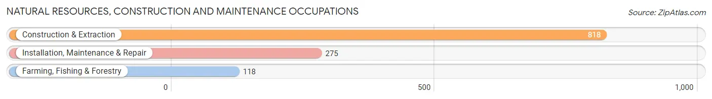 Natural Resources, Construction and Maintenance Occupations in Pike County