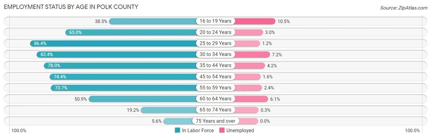 Employment Status by Age in Polk County