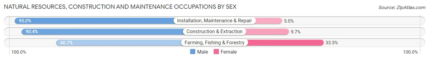 Natural Resources, Construction and Maintenance Occupations by Sex in Putnam County