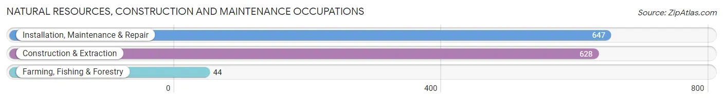 Natural Resources, Construction and Maintenance Occupations in Ray County