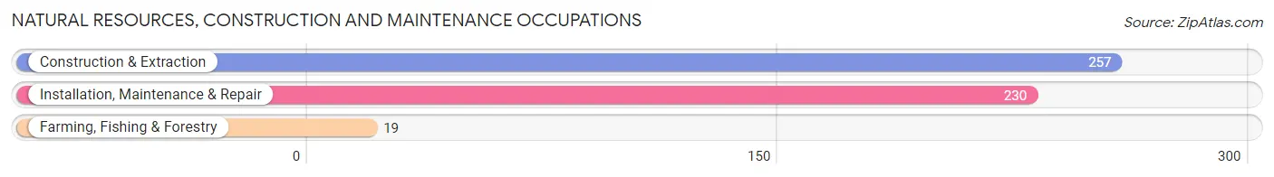 Natural Resources, Construction and Maintenance Occupations in Ripley County