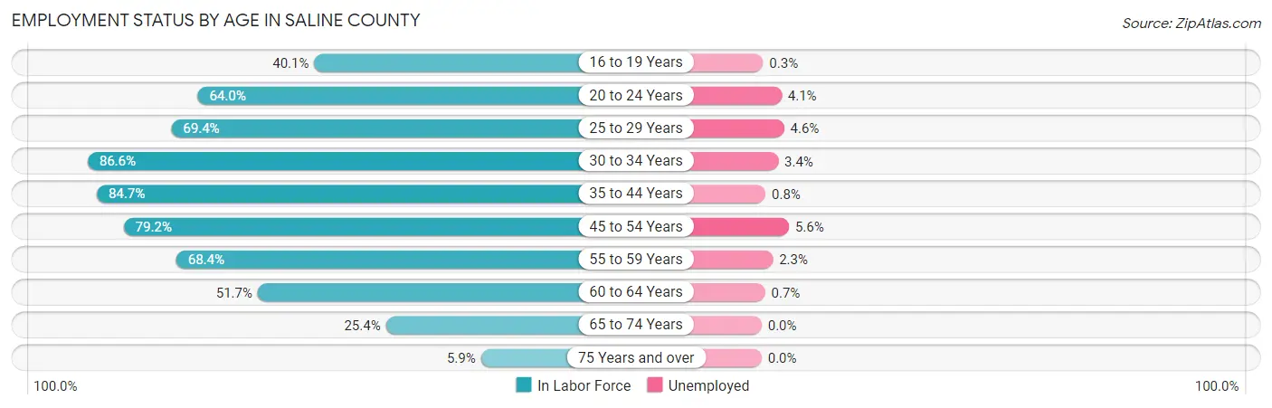 Employment Status by Age in Saline County