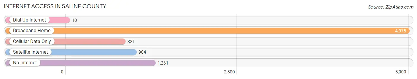 Internet Access in Saline County