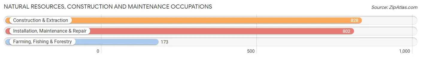 Natural Resources, Construction and Maintenance Occupations in Scott County