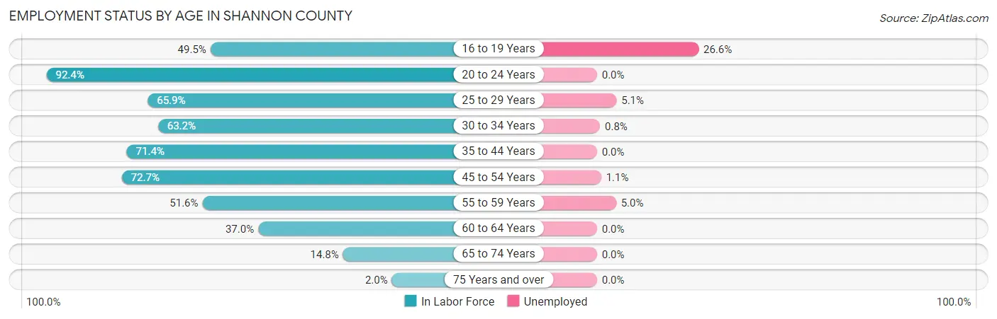 Employment Status by Age in Shannon County