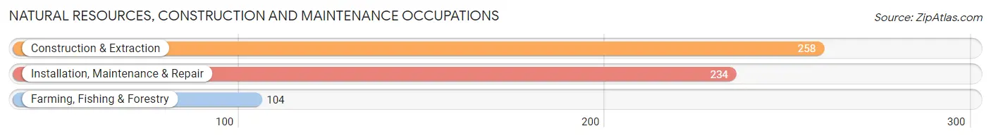 Natural Resources, Construction and Maintenance Occupations in Shannon County