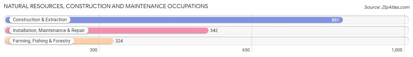 Natural Resources, Construction and Maintenance Occupations in Stoddard County