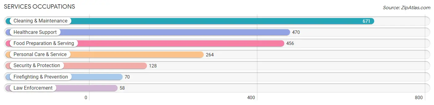 Services Occupations in Stone County