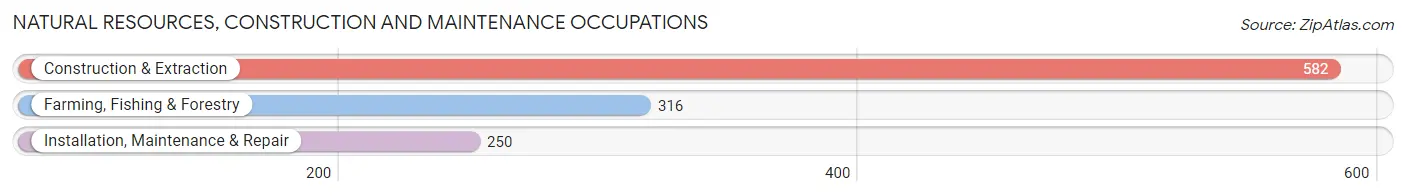 Natural Resources, Construction and Maintenance Occupations in Texas County