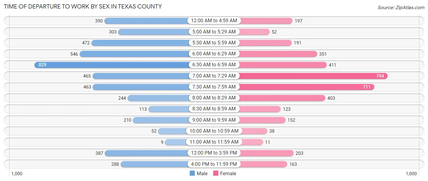 Time of Departure to Work by Sex in Texas County