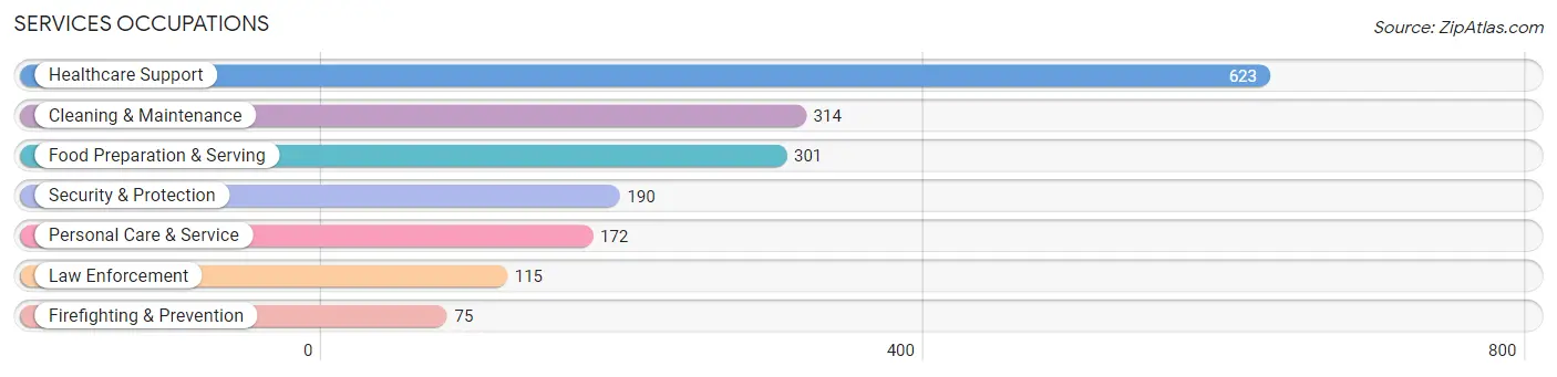 Services Occupations in Washington County