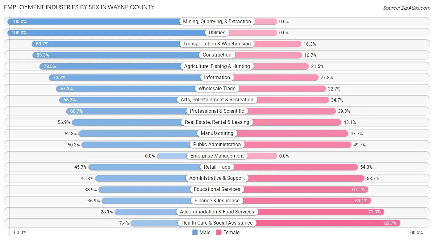 Employment Industries by Sex in Wayne County