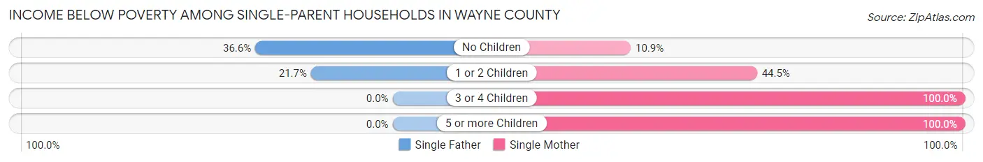 Income Below Poverty Among Single-Parent Households in Wayne County