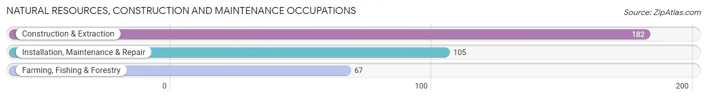 Natural Resources, Construction and Maintenance Occupations in Wayne County