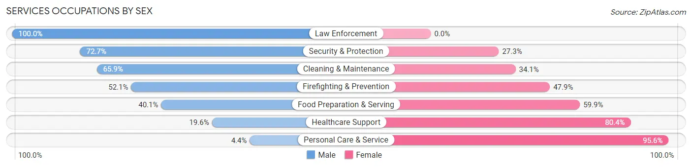 Services Occupations by Sex in Copiah County