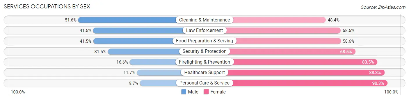 Services Occupations by Sex in Lowndes County