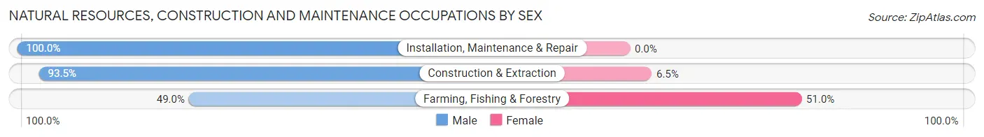 Natural Resources, Construction and Maintenance Occupations by Sex in Oktibbeha County