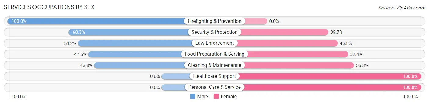 Services Occupations by Sex in Burke County