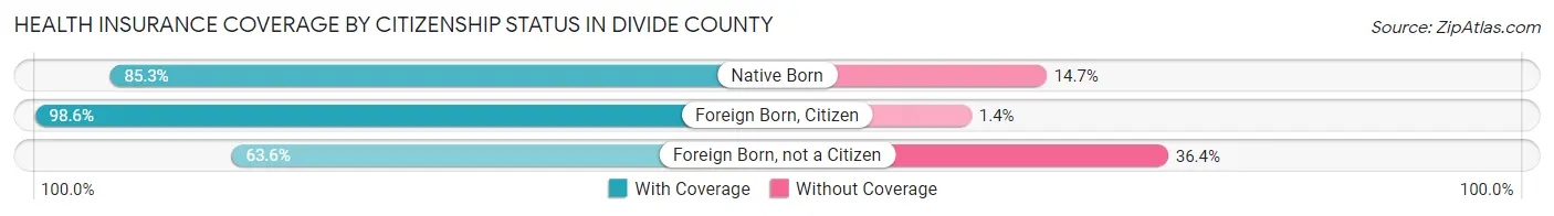 Health Insurance Coverage by Citizenship Status in Divide County