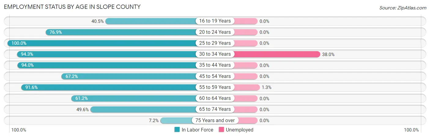 Employment Status by Age in Slope County