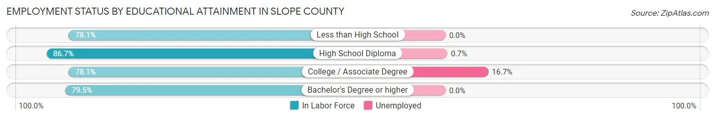 Employment Status by Educational Attainment in Slope County