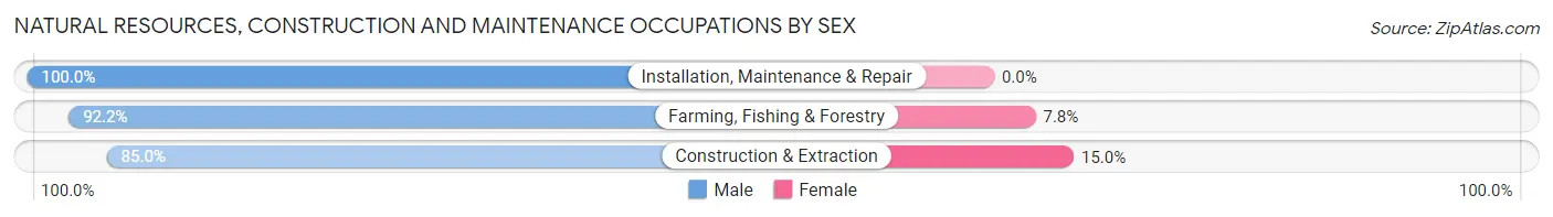 Natural Resources, Construction and Maintenance Occupations by Sex in Towner County