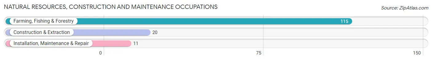 Natural Resources, Construction and Maintenance Occupations in Towner County