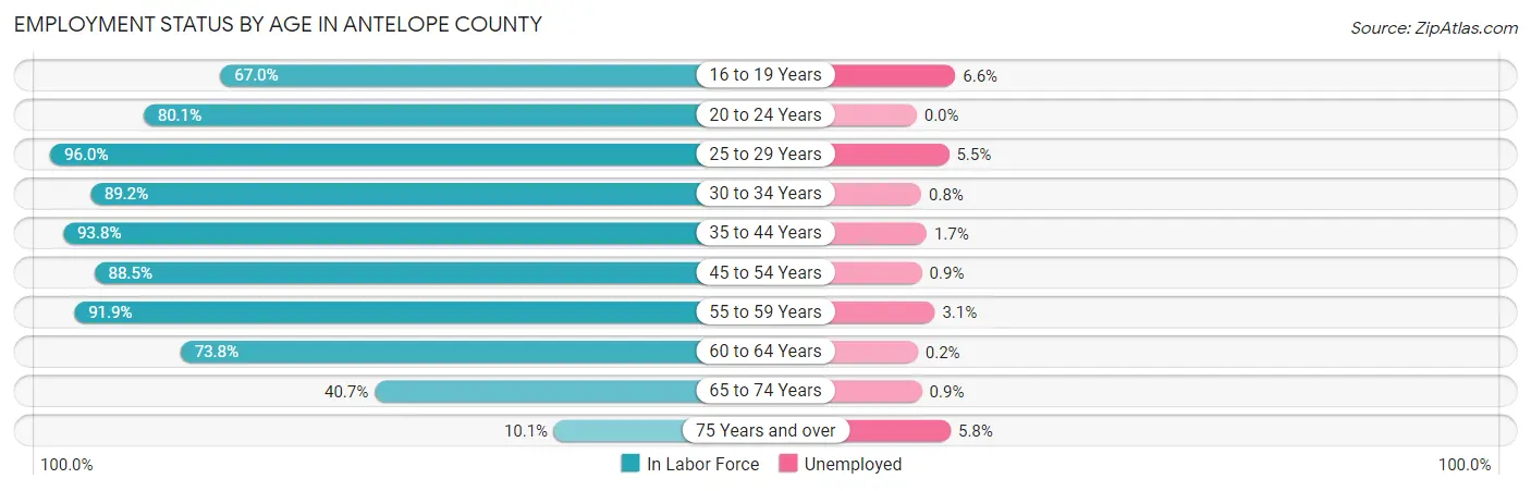 Employment Status by Age in Antelope County