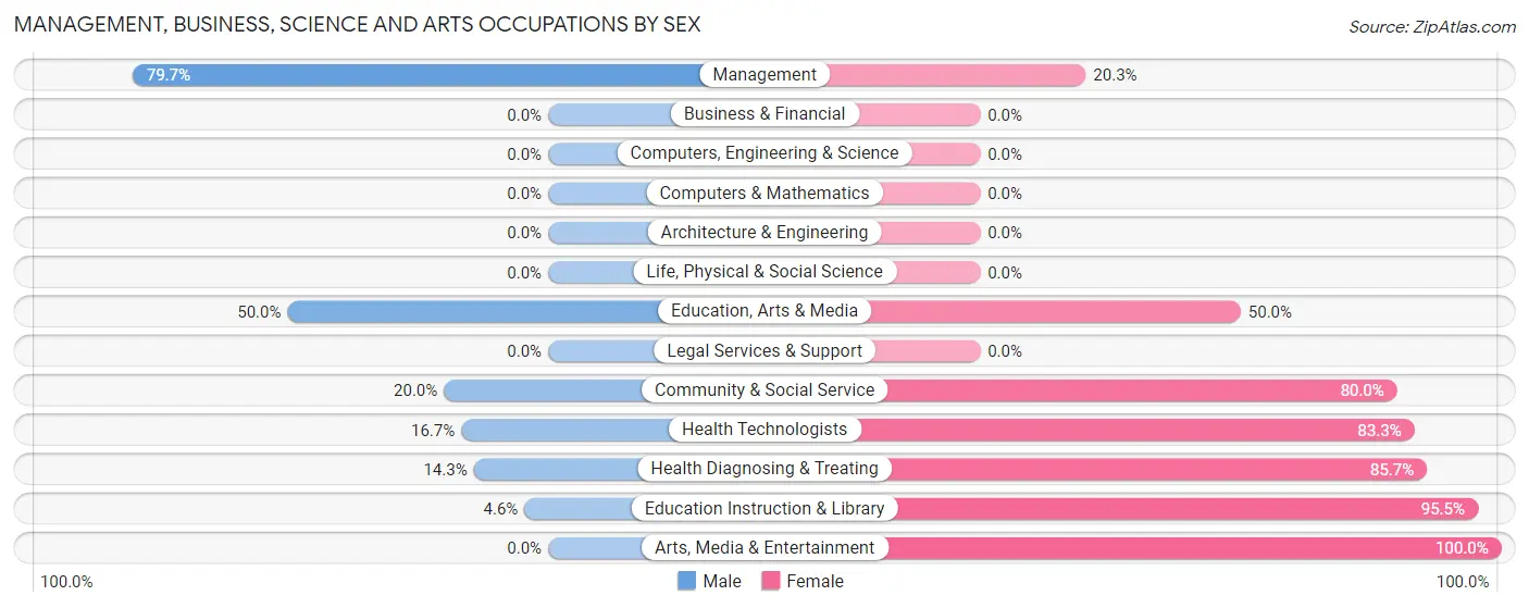 Management, Business, Science and Arts Occupations by Sex in Arthur County