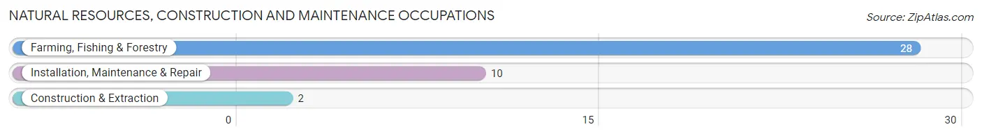 Natural Resources, Construction and Maintenance Occupations in Arthur County