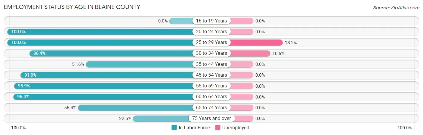 Employment Status by Age in Blaine County