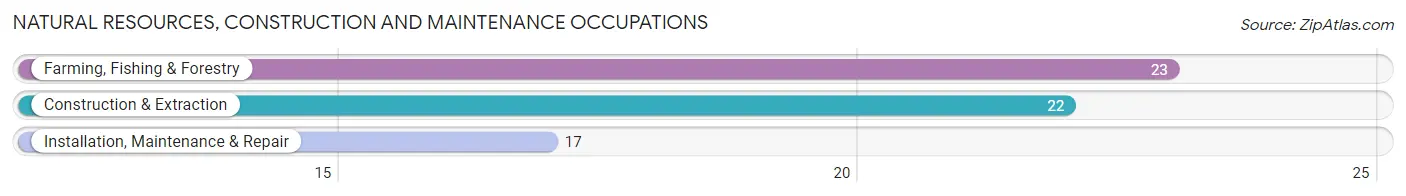 Natural Resources, Construction and Maintenance Occupations in Blaine County