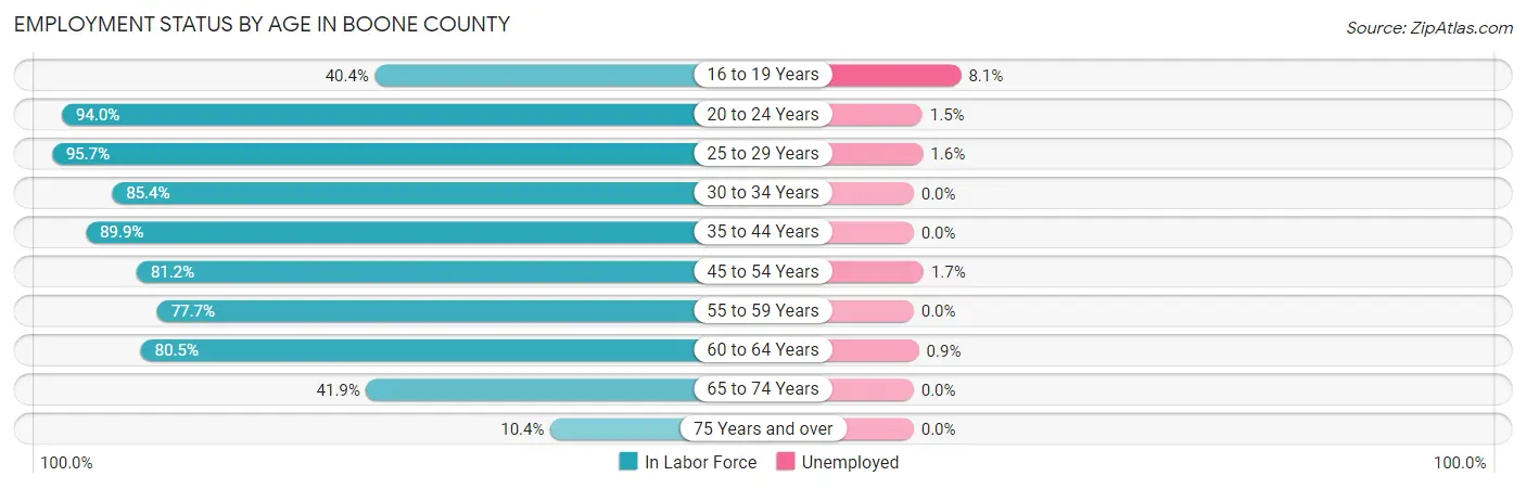 Employment Status by Age in Boone County